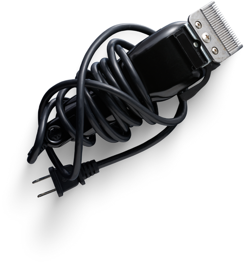 Premium isolated images & templates